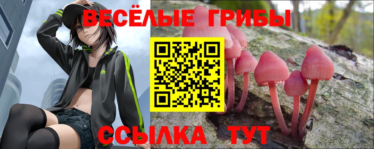 Псилоцибиновые грибы ЛСД Котовск