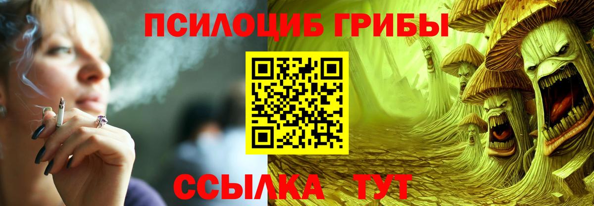 Галлюциногенные грибы мицелий  Вход с VPN  купить наркотики сайты  Котовск 